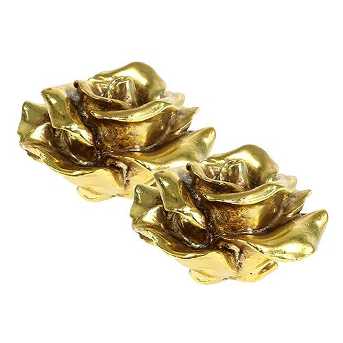 Floristik24 Rosas decorativas douradas Ø8cm 6 unidades