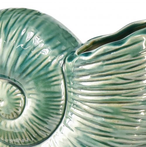 Floristik24 Vaso decorativo concha de caracol cerâmica verde 18x8,5x15,5cm