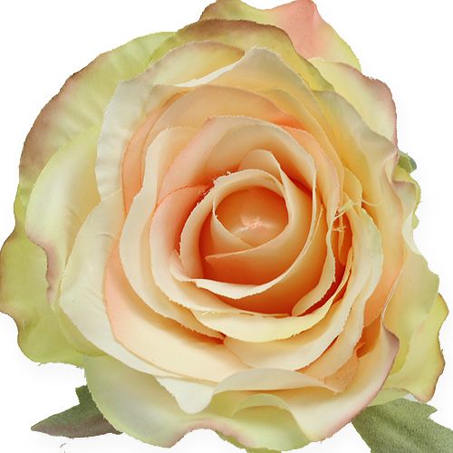 Floristik24 Rosas artificiais Ø9cm 6 unidades