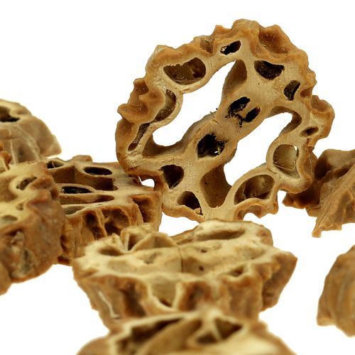 Floristik24 Fatias de nozes 2cm naturais 250g