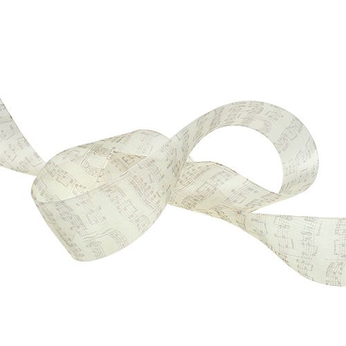 Floristik24 Padrão de notas de fita Deco 40mm 20m