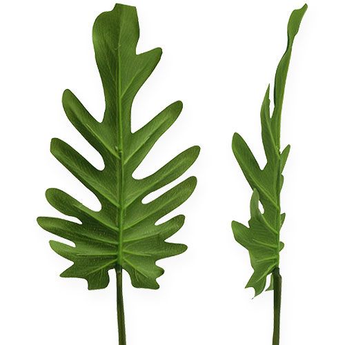 Floristik24 Folhas decorativas Philodendron verde L11cm L34cm 6 unidades