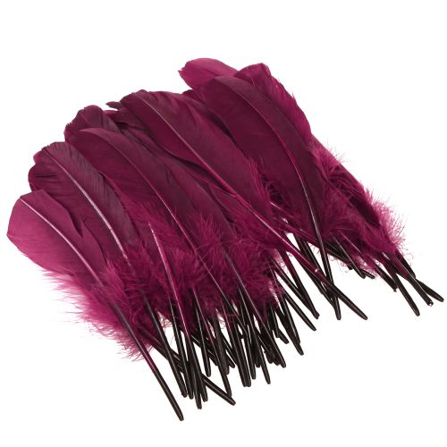 Itens Penas decorativas penas de ganso borgonha suprimentos para artesanato 20g x 2 unidades