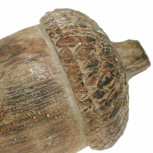 Floristik24 Figura decorativa castanho bolota 11 cm x 8 cm x 7 cm 3 unidades