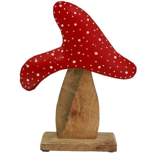 Floristik24 Cogumelo-cogumelo decorativo vermelho, natural 26cm