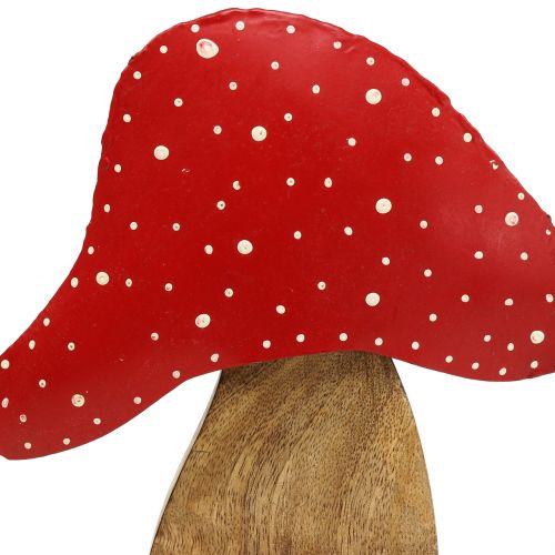Floristik24 Figura decorativa cogumelo natural, vermelho 25cm