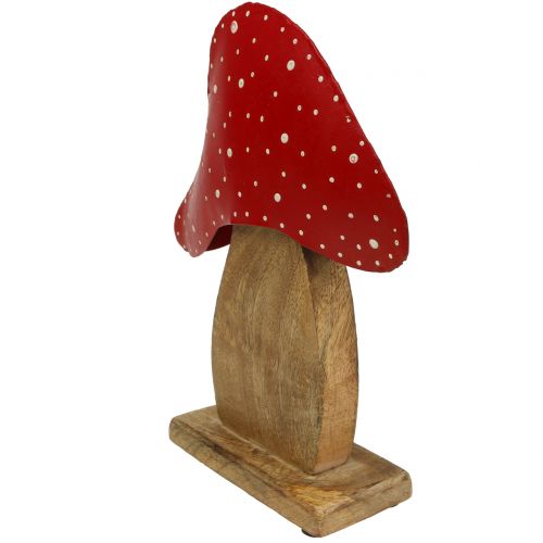 Floristik24 Figura decorativa cogumelo natural, vermelho 25cm