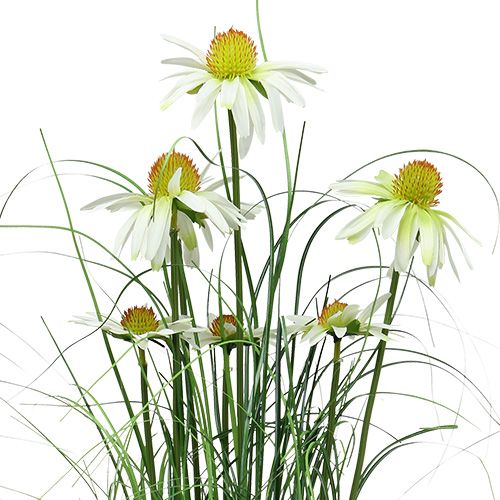Floristik24 Grama decorativa com camomila em um vaso Artificial 66cm