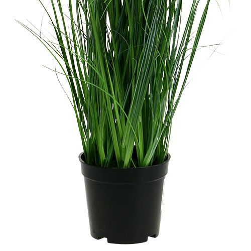 Floristik24 Grama decorativa com camomila em um vaso Artificial 66cm