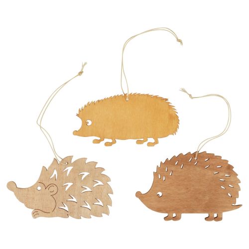 Floristik24 Cabide decorativo de madeira ouriço decoração marrom natural laranja 12x10cm 12 un