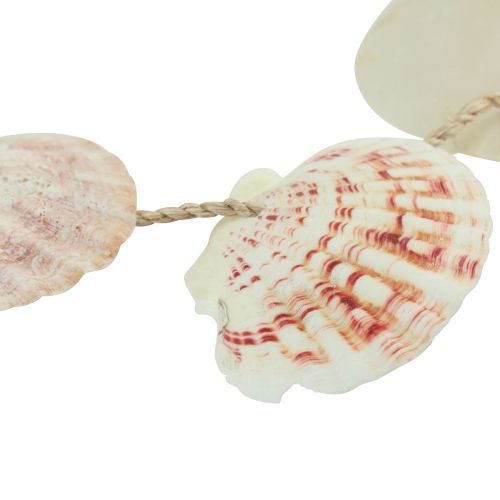 Itens Cabide decorativo decoração de concha marítima natural Ø5–10cm 70cm