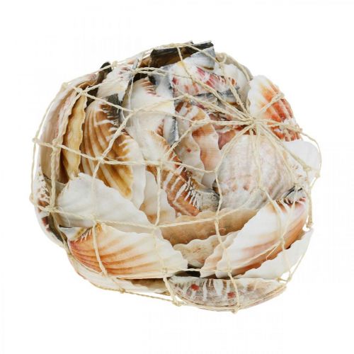 Floristik24 Deco shell branco, vermelho Real conchas em rede de ráfia decoração de mesa 400g