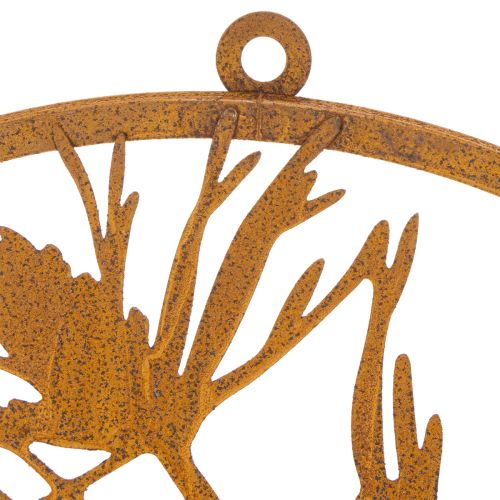 Anel decorativo de metal, decoração de parede em aço patinado, ramo de pinheiro, Ø38cm | Floristik24.pt