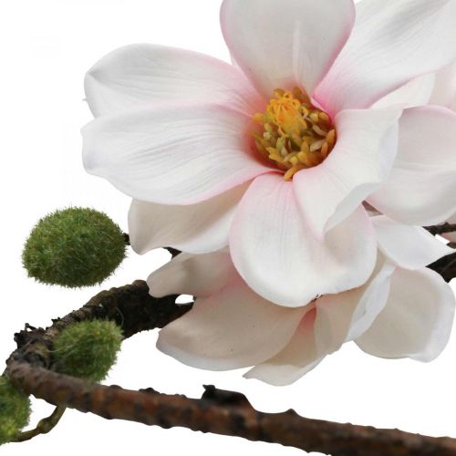 Floristik24 Anel decorativo magnólia artificial decoração primavera para pendurar Ø24cm