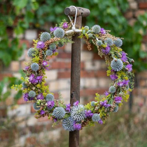 Floristik24 Anel decorativo para pendurar, decoração de janelas, decoração de parede em cores naturais Ø30cm 4 unidades