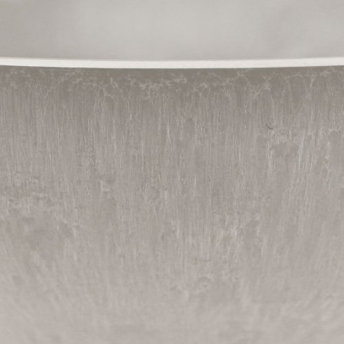 Itens Tigela decorativa com base, vaso para plantas redondo, cinza, Ø19cm, A8cm