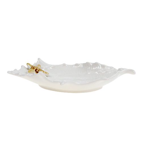 Floristik24 Concha decorativa com estrela do mar 22cm