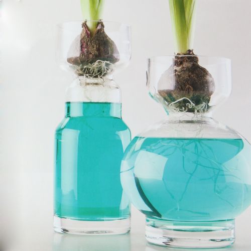 Floristik24 Azul água decorativo 150ml