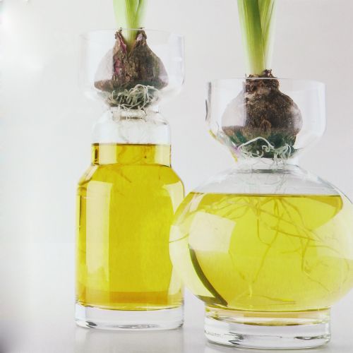 Floristik24 Amarelo água decorativo 150ml