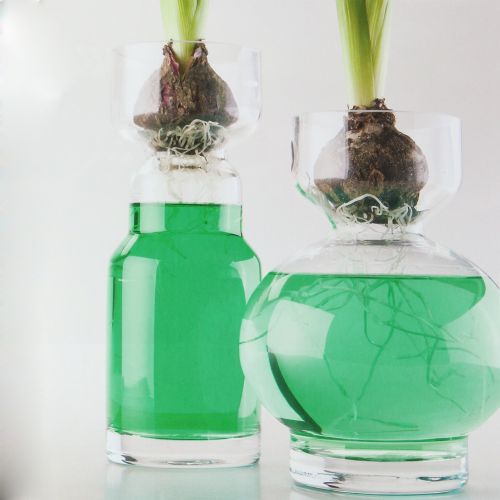 Floristik24 Verde água decorativo 150ml