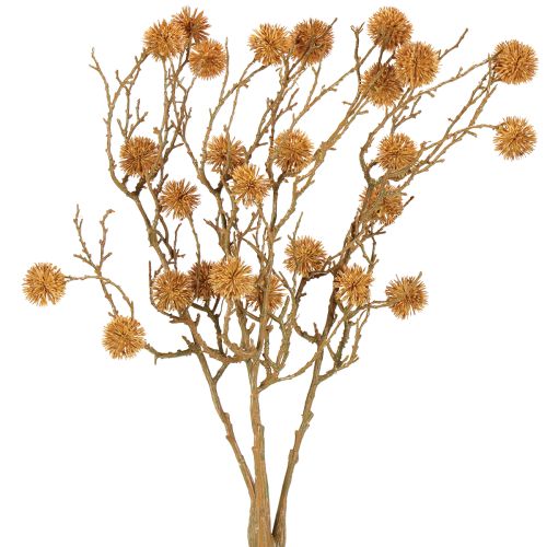 Floristik24 Ramo decorativo de goma-doce, decoração de frutas, marrom ocre, 48 cm