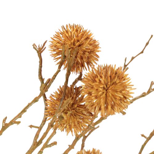 Itens Ramo decorativo de goma-doce, decoração de frutas, marrom ocre, 48 cm