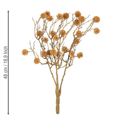 Itens Ramo decorativo de goma-doce, decoração de frutas, marrom ocre, 48 cm
