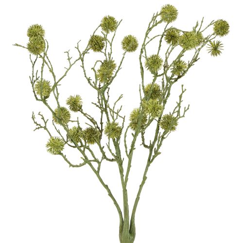 Floristik24 Ramo decorativo de goma-doce, frutos verde-claro, 48 cm