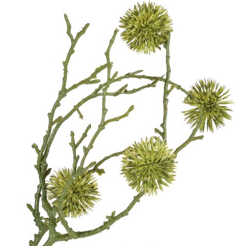 Itens Ramo decorativo de goma-doce, frutos verde-claro, 48 cm