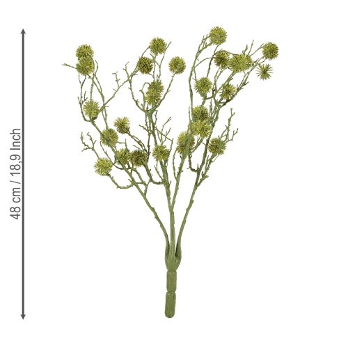 Itens Ramo decorativo de goma-doce, frutos verde-claro, 48 cm