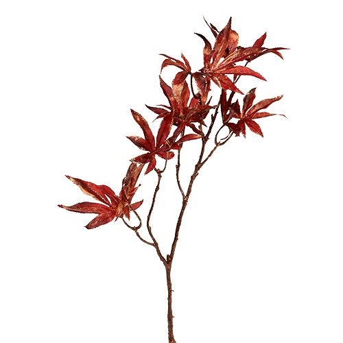 Floristik24 Ramo decorativo vermelho escuro com mica 52 cm