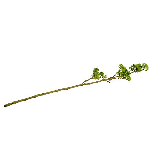 Floristik24 Deco ramo verde 80cm