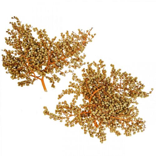 Floristik24 Ramos decorativos bagas de cânhamo seco palmeira Uva natural 1kg