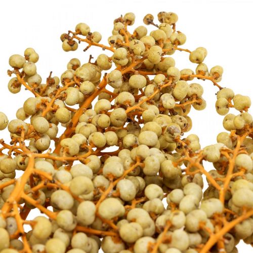 Floristik24 Ramos decorativos bagas de cânhamo seco palmeira Uva natural 1kg