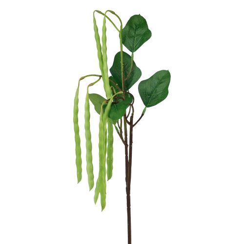 Floristik24 Ramo decorativo de feijão, planta artificial verde 68cm