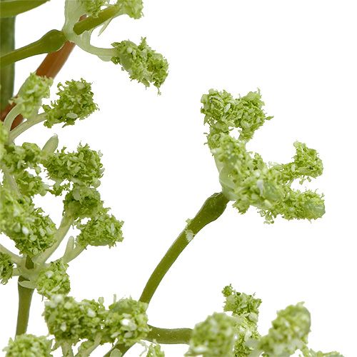 Floristik24 Ramo decorativo verde L43cm 4 unidades