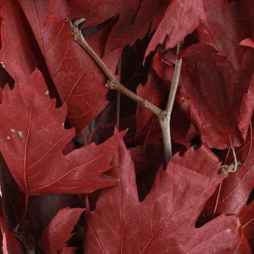Floristik24 Ramos decorativos folhas de bordo folhas de bordo decorativas vermelhas 50-60cm 100g