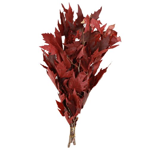 Floristik24 Ramos decorativos folhas de bordo folhas de bordo decorativas vermelhas 50-60cm 100g