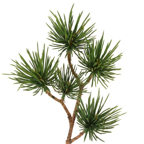 Itens Ramos decorativos de pinheiro artificial ramos de pinheiro verde 28cm 6 peças