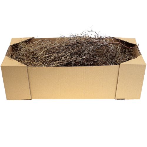 Itens Ramos decorativos Ramos arbusto de ferro decoração natural madeira natureza 250g