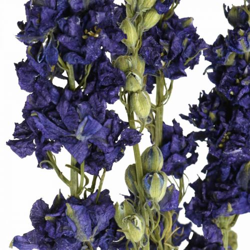 Itens Delphinium seco, floricultura seca, azul delphinium L64cm 25g