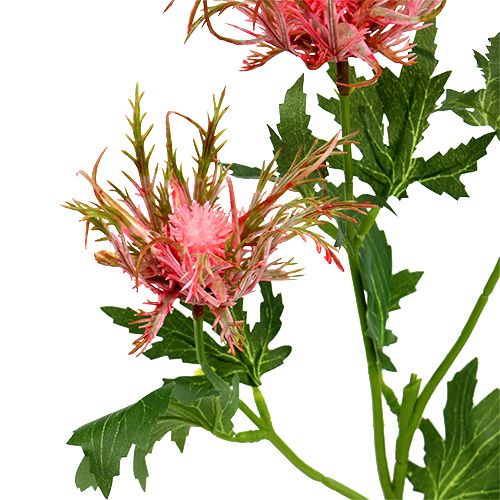 Floristik24 Ramo de cardo rosa, verde L67cm 4 unidades