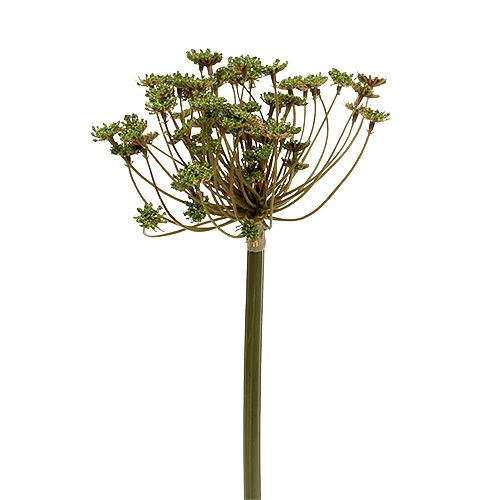 Floristik24 Endro verde artificial 76cm