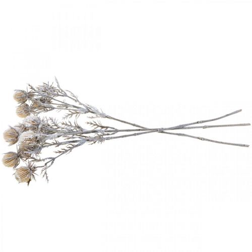 Floristik24 Ramo de cardo ramo decorativo congelado artificialmente inverno 55 cm 3 unidades