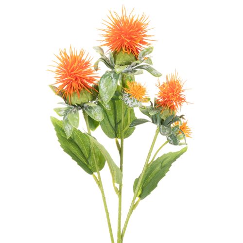 Arranjo artificial de cártamo laranja, ideal para vasos e decoração, 55 cm, 4 peças. | Floristik24.pt