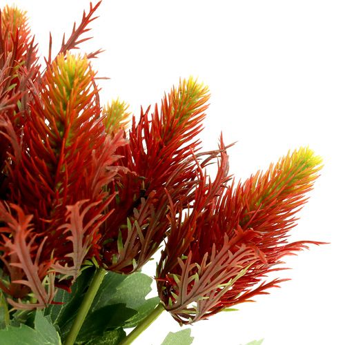 Floristik24 Cardo vermelho-verde 20cm 12pcs