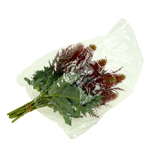Floristik24 Cardo vermelho-verde 20cm 12pcs