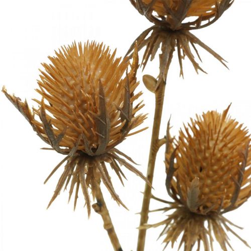 Itens Thistle Branch Brown Artificial Plant Fall Decoration 38cm Planta artificial como a coisa real!