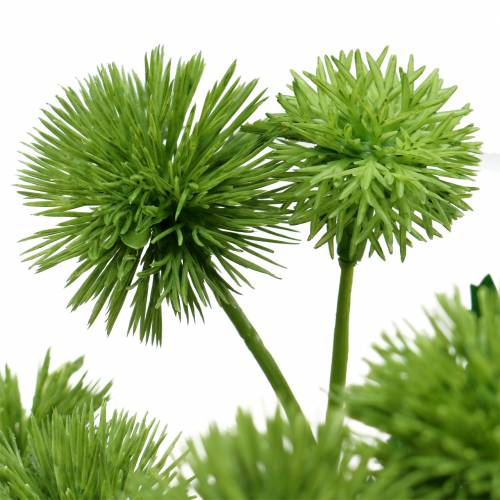 Floristik24 Flor de seda cardo verde 56 cm 3 unidades
