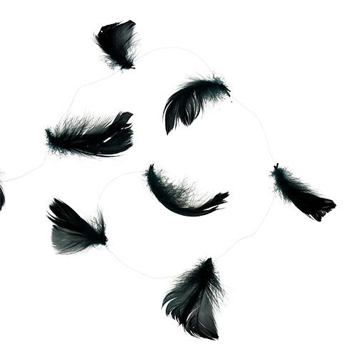 Floristik24 Fio com mola preta 10m